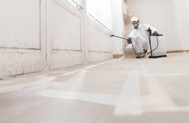 24/7 Emergency Mold Removal experts in Bloomington, TX